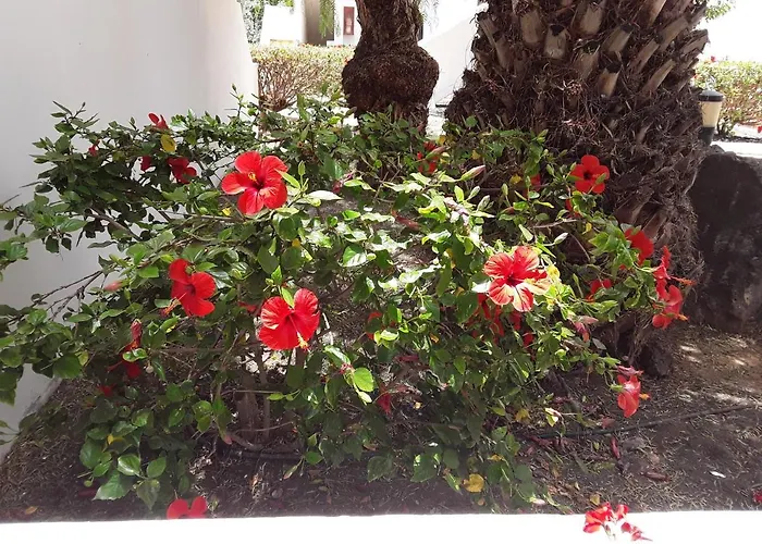 Le Parisien Apartment *