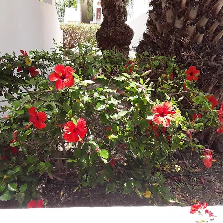 Le Parisien Apartment *